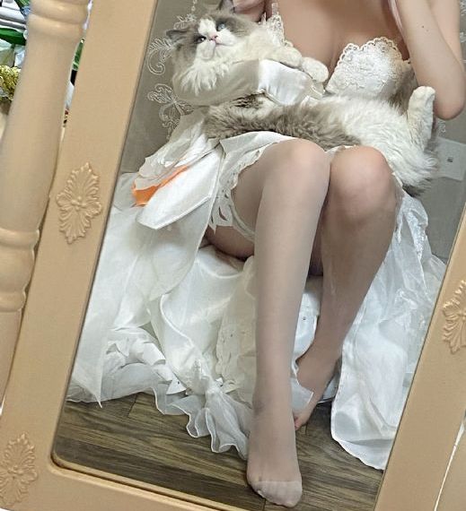 葫芦兄弟全集免费