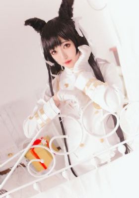 精英律师高清电视剧免费观看
