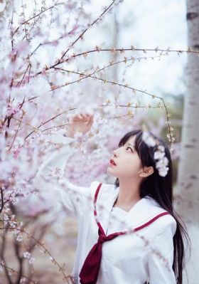 突围电视剧